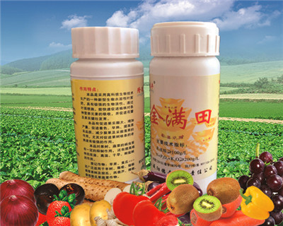 荆州金满田