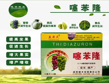 荆州噻苯隆的特点