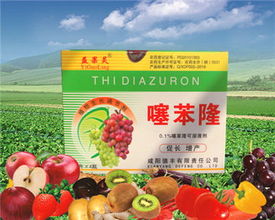 荆州葡萄专用型噻苯隆的使用方法以及作用